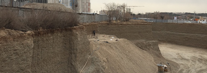 Designing and Implementing the Sustainability of the Walls of the Auditor Project Project